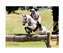 Ezekial at Stoneleigh-Burnham Horse Trials