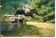Greyfell Sovran at Huntington Farm